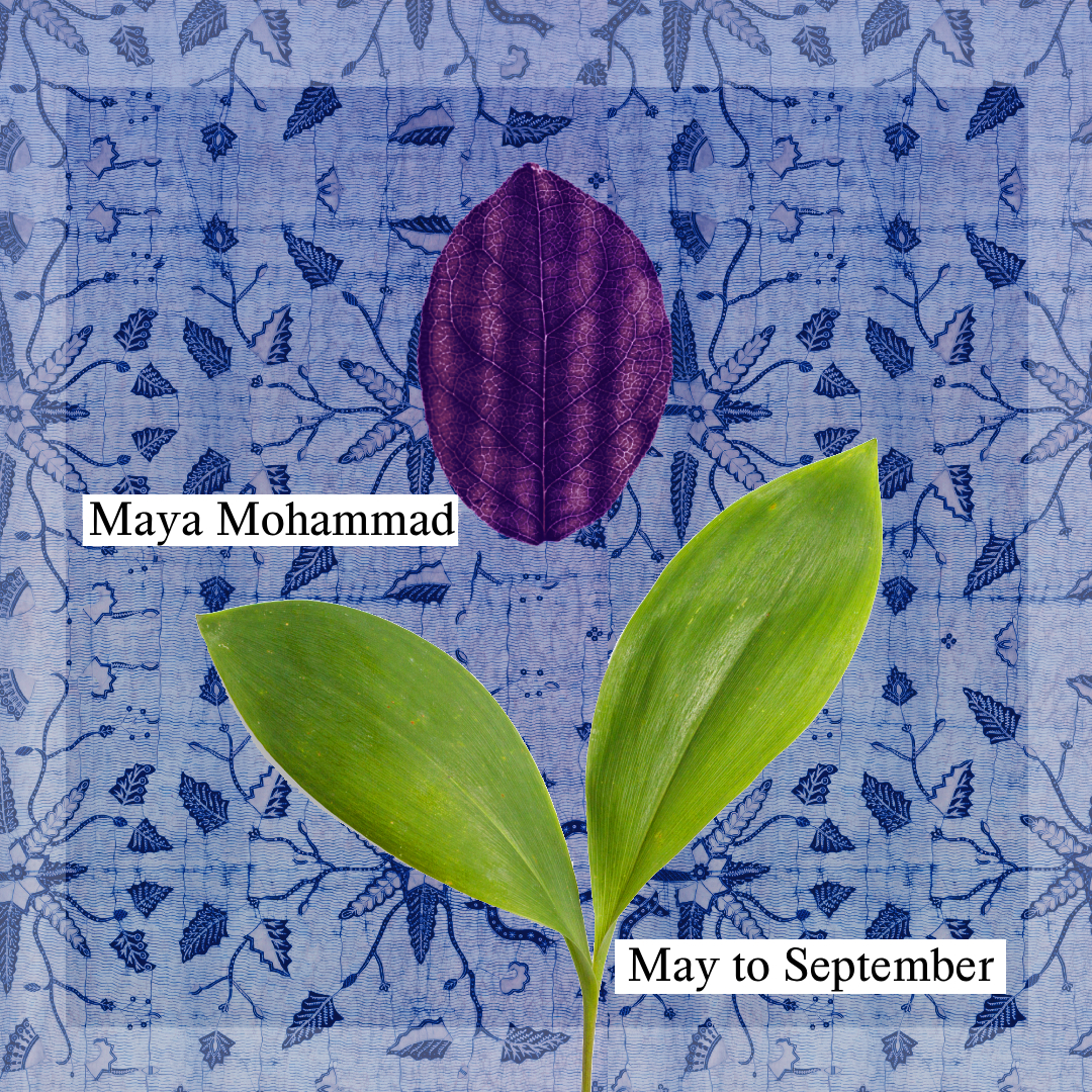 Confessions—May to September