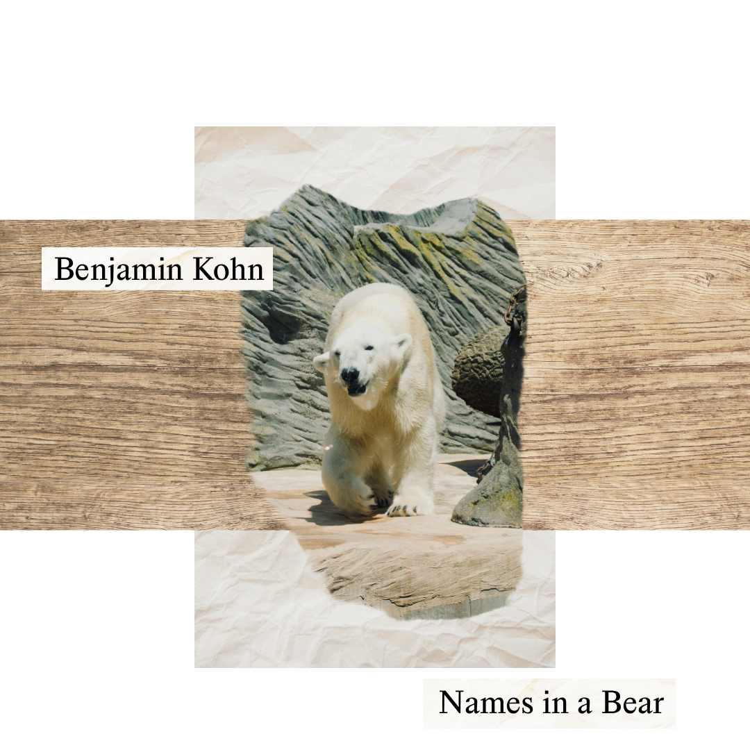 Names in a Bear