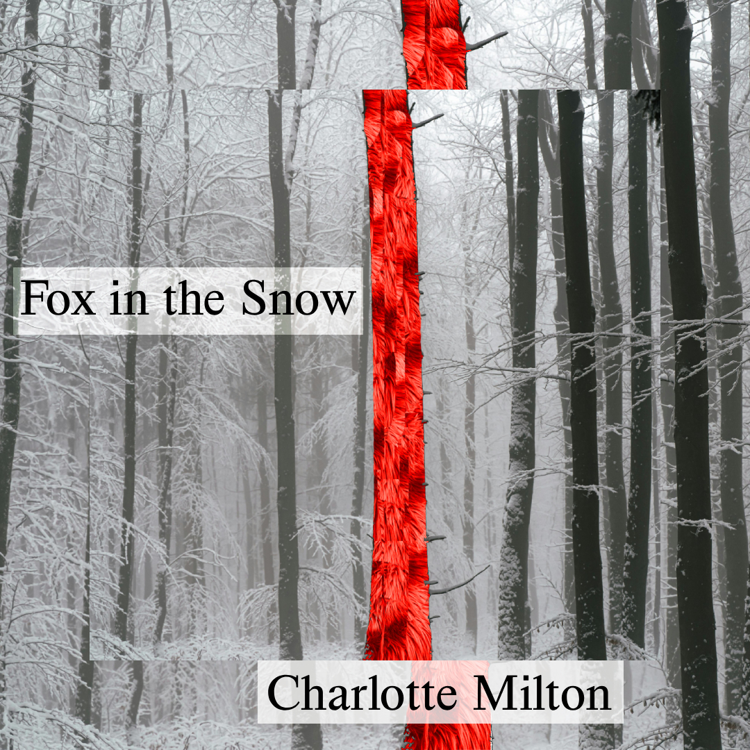 Fox in the Snow