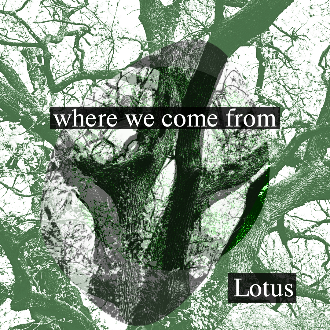 where we come from