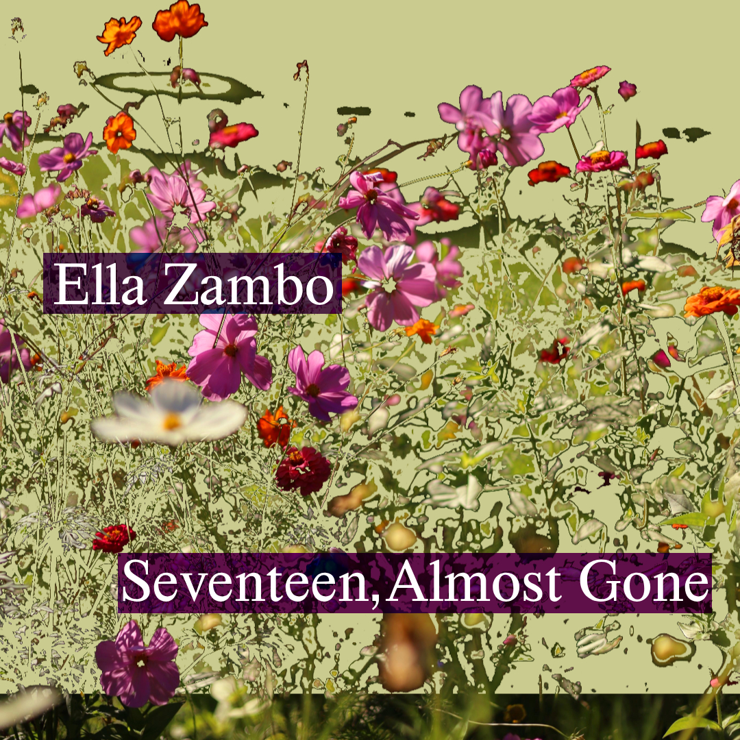 Seventeen, Almost Gone